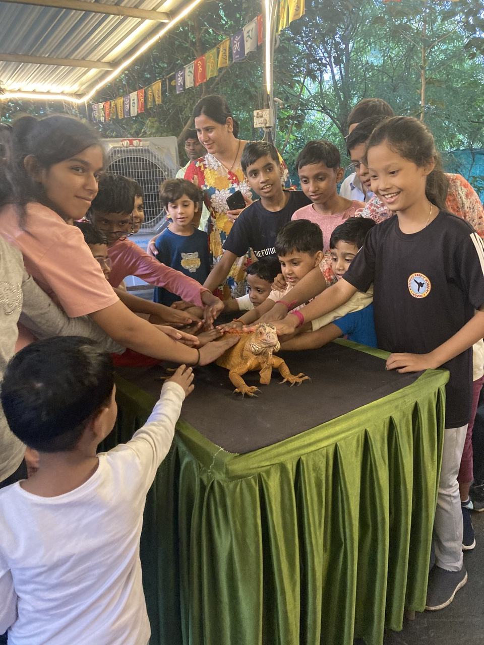 Children on an outing interacting with an animal