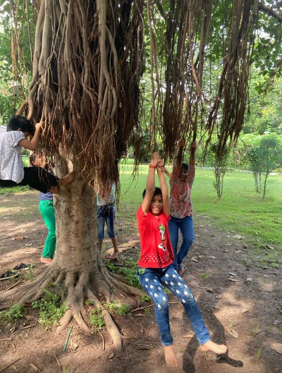 Children playing on tree roots